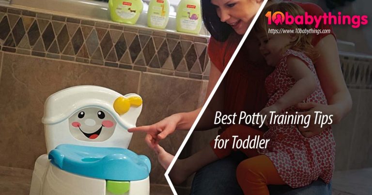 Best Potty Training Tips for Toddler (Infographic)